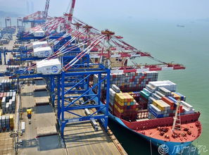 廈門入選又一國家級名單 還有學校 醫(yī)院 一大波新進展