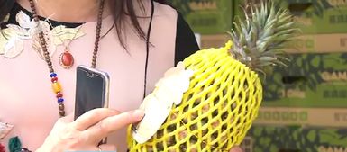 推動(dòng)廈門(mén)高雄農(nóng)漁產(chǎn)品采購(gòu)協(xié)議落地 高雄特色農(nóng)產(chǎn)陸續(xù) 登鷺